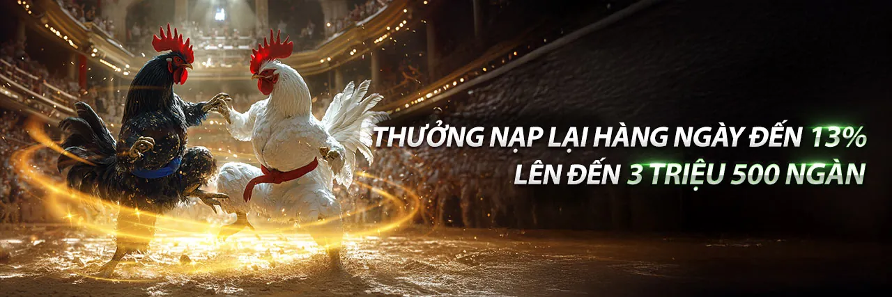 Đá Gà Trực Tuyến CT88 Nhà Cái